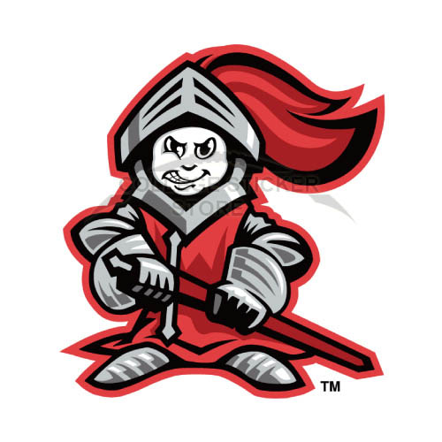 Homemade Rutgers Scarlet Knights Iron-on Transfers (Wall Stickers)NO.6039